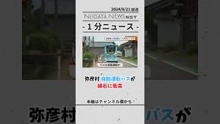 弥彦村自動運転バスが縁石に衝突 弥彦 自動運転 バス 事故 交通事故 [upl. by Maurine928]