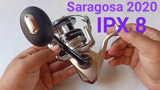 Shimano Saragosa 2020 [upl. by Esenaj]