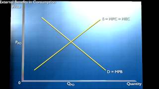 Externalities and Public Goods  Externalities in Consumption [upl. by Atnahc]