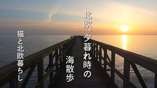 北欧暮らし🌿スウェーデンの夕暮れ時の海散歩家庭料理ピッティパンナ  海外生活vlog [upl. by Binah425]