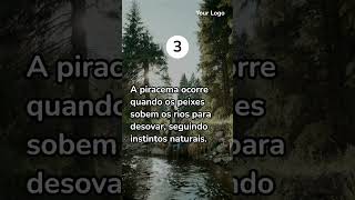 Os 5 Principais Aspectos da Piracema que Você Precisa Conhecer [upl. by Evannia]