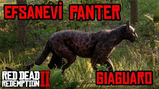 EFSANEVİ PANTER GIAGUARO  LEGENDARY PANTHER GIAGUARO  RED DEAD REDEMPTION 2 [upl. by Irmo]