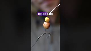 Der Knoten ist GENIAL karpfenangeln carpfishing angeln fishing knoten shorts [upl. by Erual735]