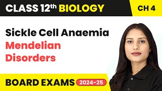 Sickle Cell Anaemia  Mendelian Disorders  Class 12 Biology Chapter 4  CBSE 202425 [upl. by Anidene]