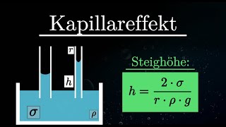 Kapillareffekt EINFACH erklärt  Kapillarität Experiment Oberflächenspannung Physik [upl. by Ardeahp]