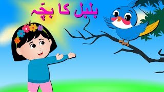 Bulbul Ka Bacha Urdu Poem  بلبل کا بچہ  Urdu Nursery Rhyme Collection for Babies [upl. by Nezah]