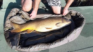 SAZAN AVI SAPANCA GÖLÜ 1  CARP FISHING SAPANCA LAKE [upl. by Jenks]