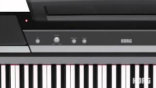 Korg SP170S Digital Piano  A Students Perspective [upl. by Aicram604]