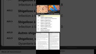 A03 Shigellose [upl. by Mannos]