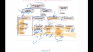 Cell Wall Synthesis Inhibitors 2 [upl. by Stafani945]