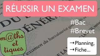 Préparer et réussir un examen  BAC BREVET [upl. by Ledua]