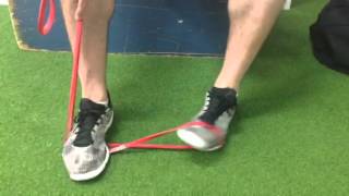 Anterior Tibialis resistance band exercise [upl. by Ayhtin]