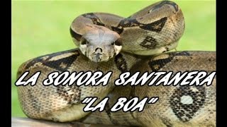 La Sonora Santanera  La Boa Con Letra [upl. by Bumgardner]