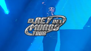 EL REY DEL MORBO  Dani Flow Live Tour [upl. by Allac609]