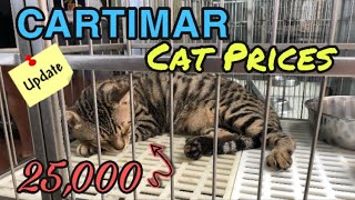 Cartimar Pet Center Cat Prices Update  Food Court amp International Groceries [upl. by Klapp]