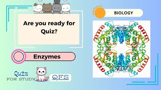 Enzymes biochemistry Quiz in digestive system High school amp college  IGCSE MCQs Biology Quiztest [upl. by Hammock184]