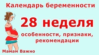 28 неделя беременности изменения особенности рекомендации [upl. by Ettenig]