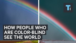 How people who are colorblind see the world [upl. by Candra]