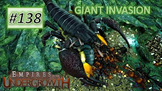 Empires of the Undergrowth 138 Giant Invasion [upl. by Artenahs]