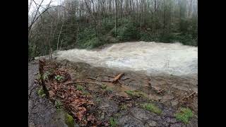 Ohiopyle 3 April 2024 Meadow Run high water day [upl. by Cami]