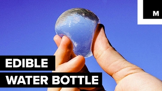 Scientists have created edible water [upl. by Zolly]