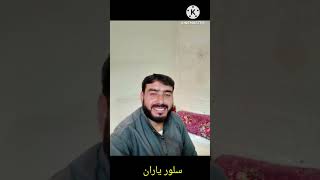 pashto new songs 2024  shafaroq Shandi gulSherin jan song  official video 2024 newsong hd music [upl. by Aisanat284]