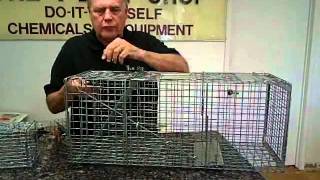 How To Trap Animals  Michael Bohdan  The Pest Shop  Plano TX [upl. by Toscano]