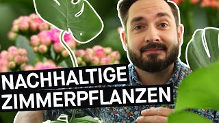 Monstera Bogenhanf amp Co Wie ökologisch sind die Zimmerpflanzen im Urban Jungle [upl. by Saville]