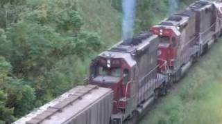 TREM SETE 7 LOCOMOTIVAS ACELERANDO LONDRINA BRASIL By FARINA [upl. by Silin]