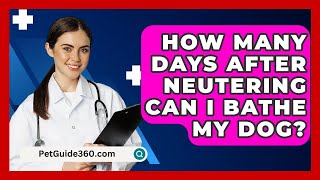 How Many Days After Neutering Can I Bathe My Dog  PetGuide360com [upl. by Bilac]