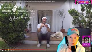 Pubertät beim Hund I Tipps amp Tricks Hundeerziehung 10 wichtige amp wertvolle Tipps Reaction DogMa [upl. by Etyam]