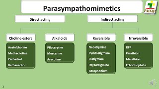 Parasympathomimetic drugs  General Pharmacology S313 [upl. by Suivatra]