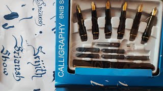 New Calligraphy Pen Set art calligraphy [upl. by Wolfort]