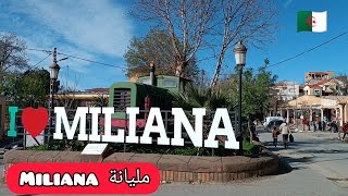 khemis miliana 2024 Miliana مليانة [upl. by Oiramad]