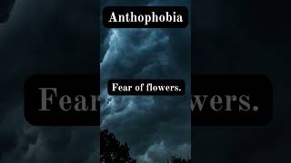 Anthophobia scarystories horrorstories horrortok [upl. by Noivert606]