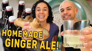 How to Make Homemade Ginger Ale Soda with Real Ginger  The Fermentation Adventure [upl. by Alekin806]