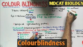 Colour Blindness  Genetics  NMDCAT 2021 [upl. by Sidras]