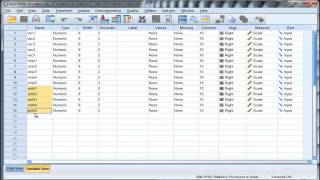 Partial Confirmatory Factor Analysis [upl. by Childers28]