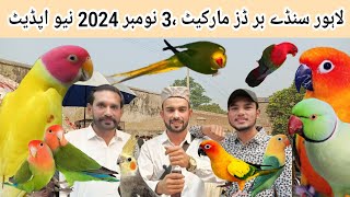 Lahore Sunday Birds market 3 Nov 2024 new updateMultanPets [upl. by Colston]