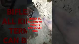 Get ride all kind of termite in BIFLEX TC FOR BEST RESULTS [upl. by Fowkes]