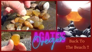 Agates Everywhere  Oregon Beach Hunt Second Haul  spring 2021OR RT prt 12 By  Quest For Details [upl. by Alrich]