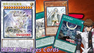 NEW BlueEyes Support  Demonstration [upl. by Uyekawa]