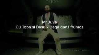 Mr Juve  Cu Toba Si Basu X Baga Dans Frumos Dj1David Mashup [upl. by Atik493]