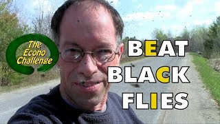 Black Fly  How To Protect Yourself In The Wilderness [upl. by Hoye506]