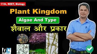 11 BIOLOGY CH 3 PLANT KINGDOM TYPE OF ALGAE शैवाल का वर्गीकरण om sir [upl. by Clinton]