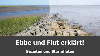 Ebbe und Flut erklärt  Gezeiten und Sturmfluten  GEO explained [upl. by Aryan108]