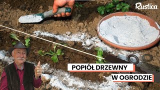 Popraw Swoje Uprawy dzięki Popiołowi Drzewnemu Właściwości Zastosowanie i Wskazówki [upl. by Odille]