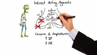 Pharmacology  ADRENERGIC RECEPTORS amp AGONISTS MADE EASY [upl. by Htebyram834]