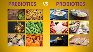 PREBIOTICS vs PROBIOTICS  DIFFERENCES [upl. by Sophronia]