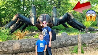 VLOG  FACE À UNE ARAIGNÉE GÉANTE   ZooSafari de Thoiry [upl. by Lindemann624]